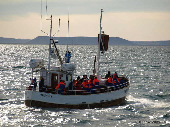 Op fotojacht naar walvissen in Husavik in Noord IJsland