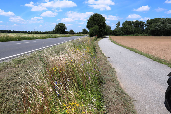 So geht es auch - Beispielhafter Erhalt von Blühstreifen am Straßenrand | Bild: Jürgen Schneider