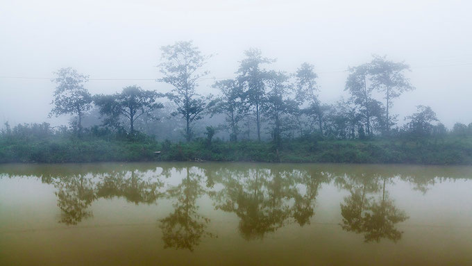 Niebla en Sapa