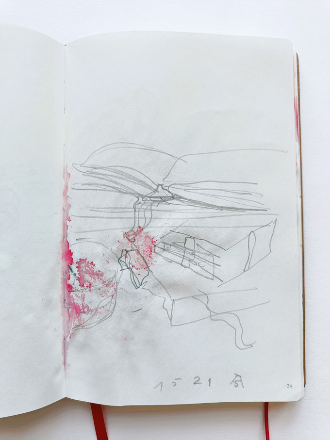 SKETCHBOOK 2025. Studies after Dürer & Leonardo at Albertina Museum, Vienna. Series of pencil drawings