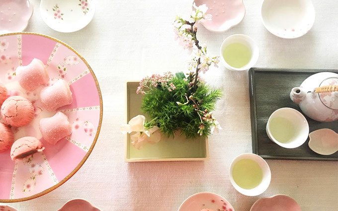 美意識を高める食器とお花の世界 第6回 おうちでお花見、桜を飾ってみよう! ㉔