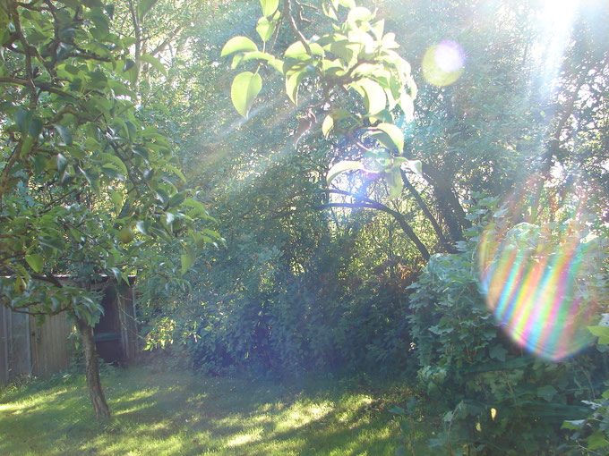 ©www.lichtwesenfotografie.com "Evas Gartenparadies"