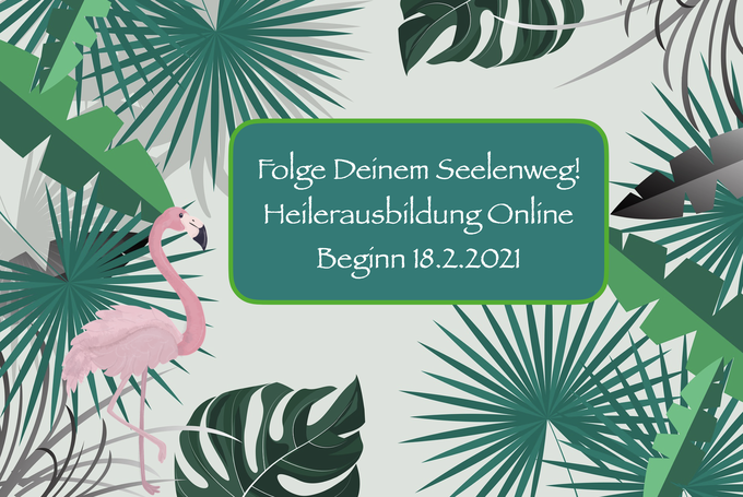 Heilerausbildung beginn 24.11.2020