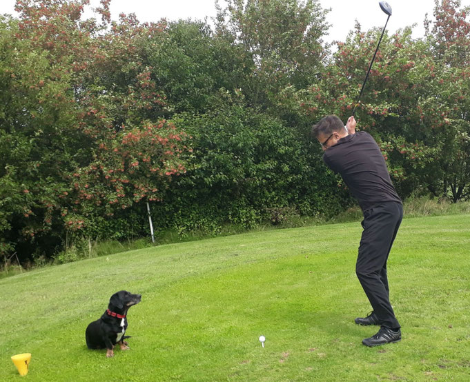 Bildunterschrift Bild 2: Der Golfabschlag dieses Öko-Jägers wird sogar von seinem Wälderdackel (Schwarzwälder Bracke) bewundert, obwohl böse Zungen behaupten, dass er weitaus besser schießt als er golft.