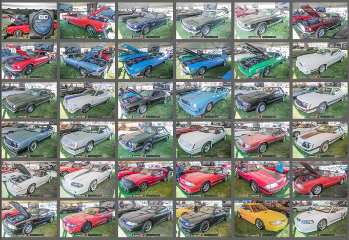 Photos des 60 ans de la Ford Mustang au Carlisle Ford Nationals 2024
