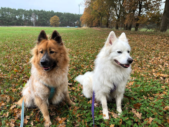 Mila mit ihrem neuen Mitbewohner und Kumpel Sami.