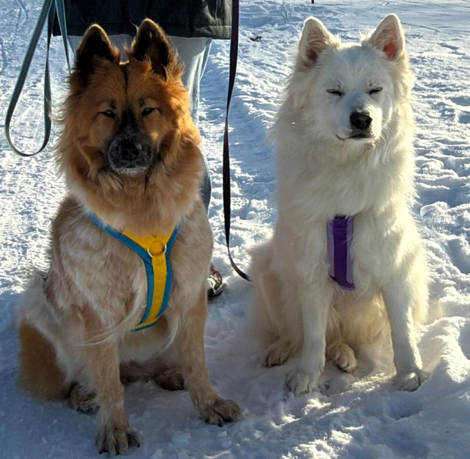 Mila und Sami !