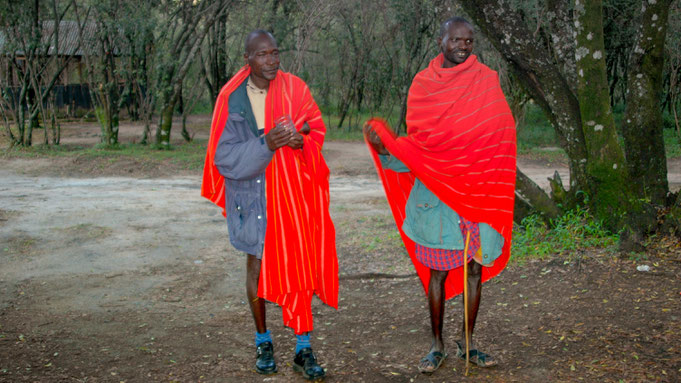 Am Sekenani Gate, Maasei Mara