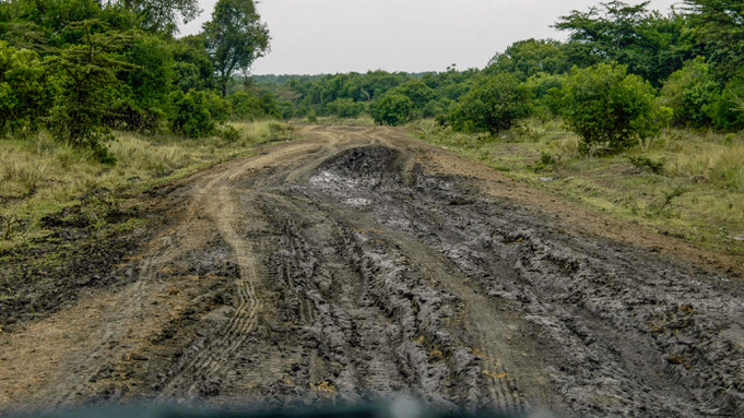 Ausfahrt aus der Maasei Mara nach Homa Bay
