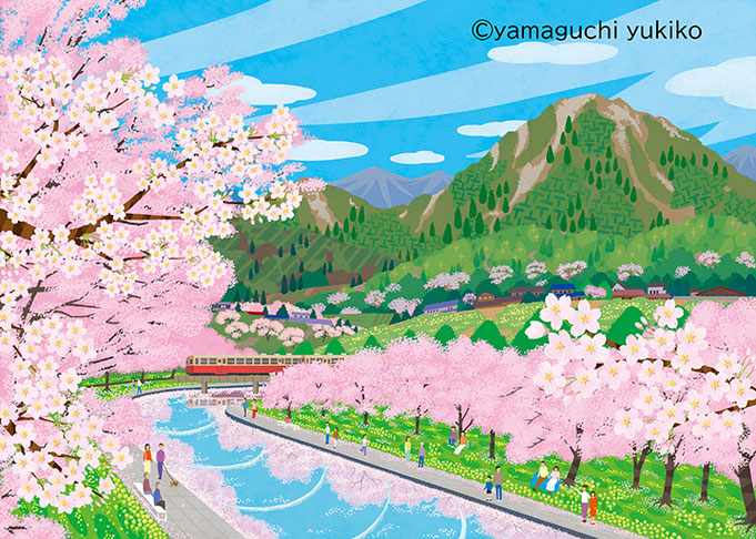 桜　イラスト