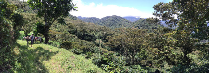 Farm La Esperanza in Panama (Quelle: Woyton)