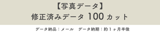 【写真データ】修正済みデータ100カット※データ納品：メール※データ納期：約一ヶ月半後