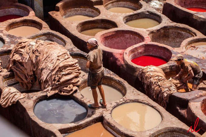 Tanneries de Fès, Maroc
