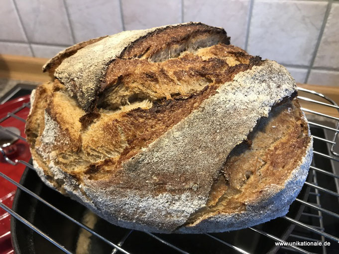 Mischbrot mit Sauerteig