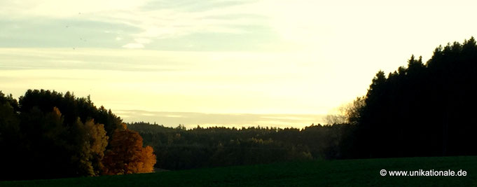 Herbst bei Reichertshausen 1