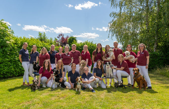 Unser Team beim Sommerfest 2026