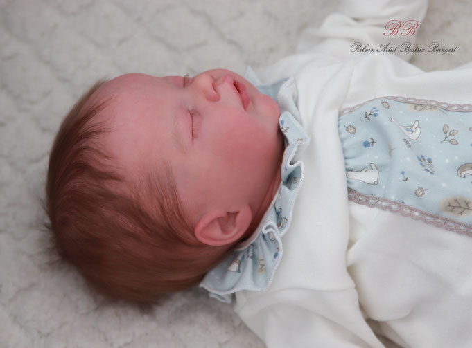 Rebornbaby Primrose asleep