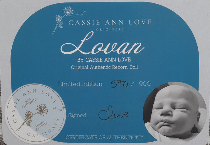 Rebornbaby Lovan