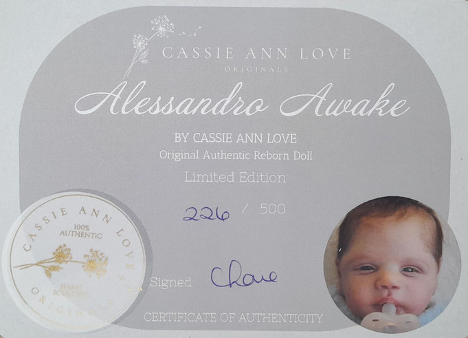 Rebornbaby Alessandro Awake