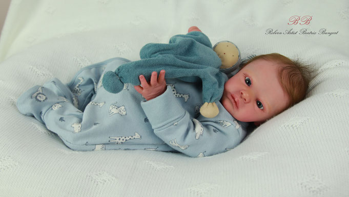 Rebornbaby Henley