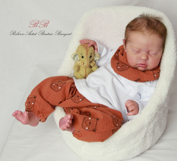 Rebornbaby Teddy