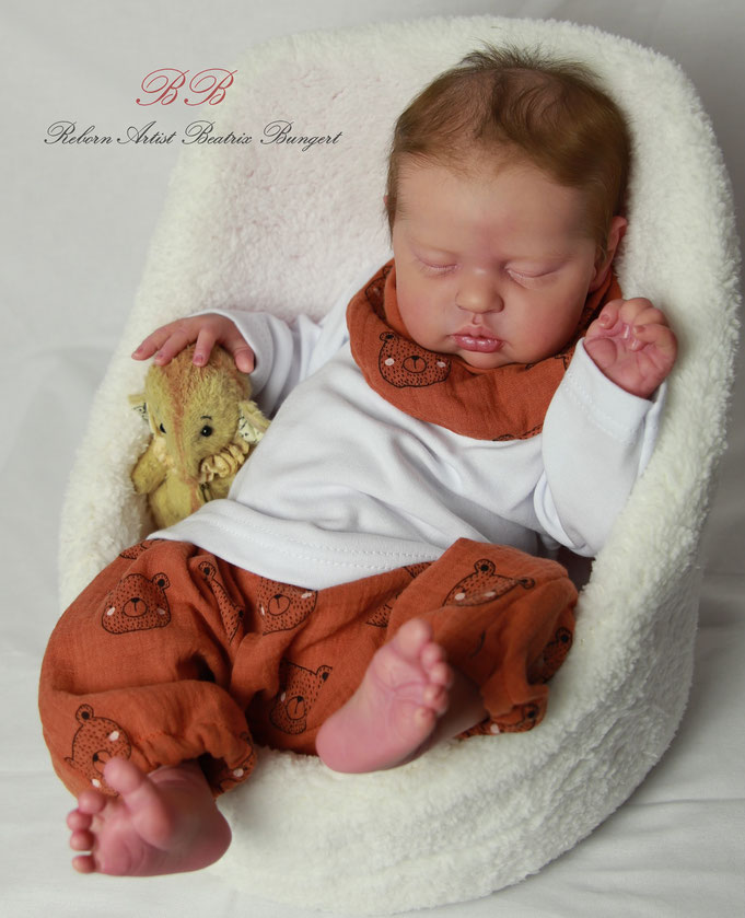 Rebornbaby Teddy