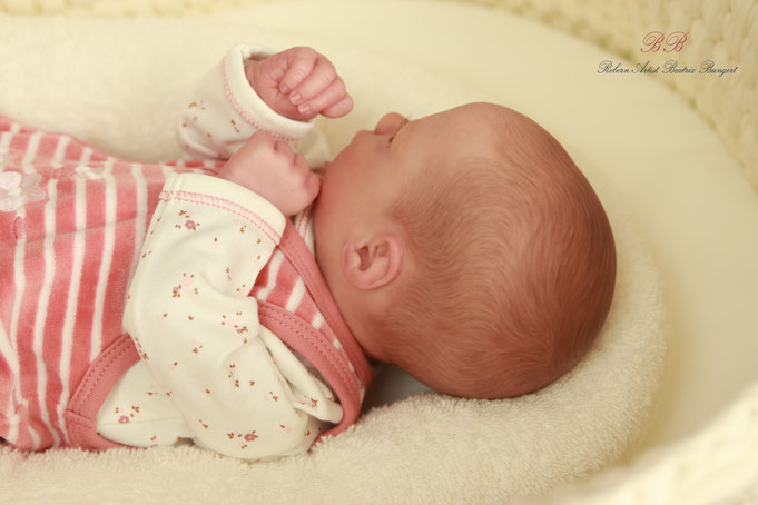 Realborn Ashley Awake