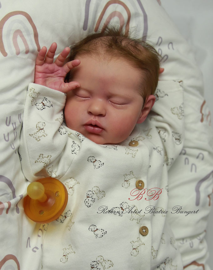 Rebornbaby Teddy