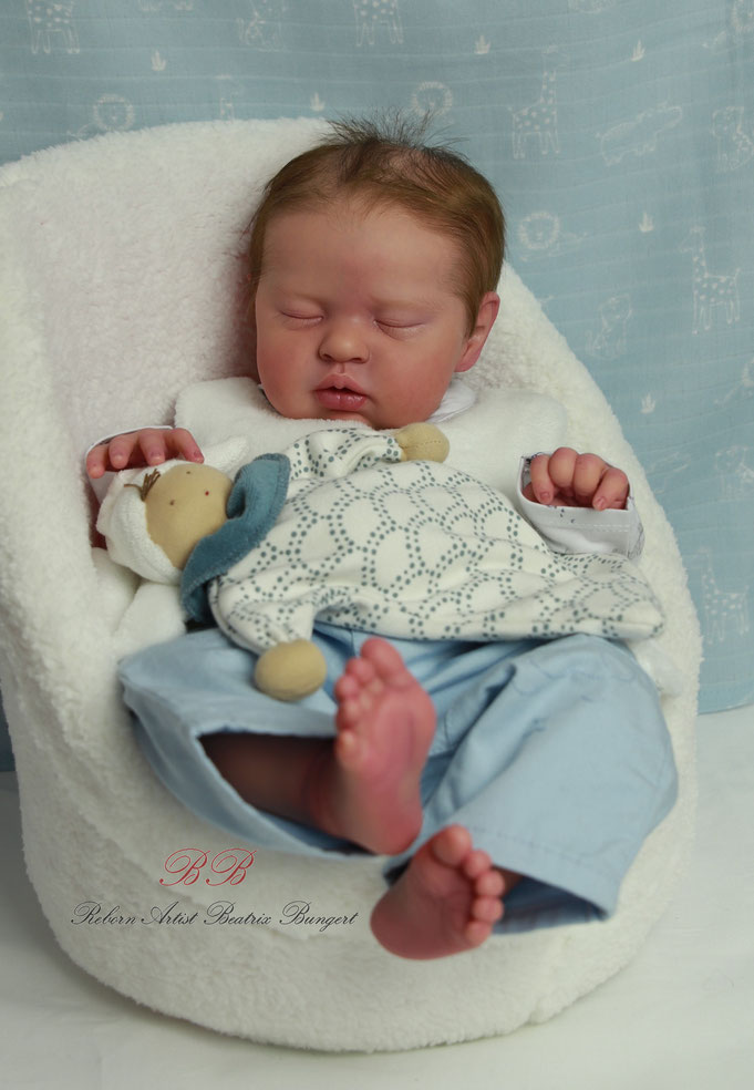 Rebornbaby Teddy