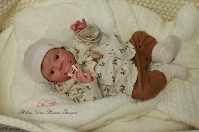 Rebornbaby Mayven