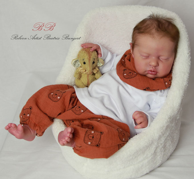 Rebornbaby Teddy
