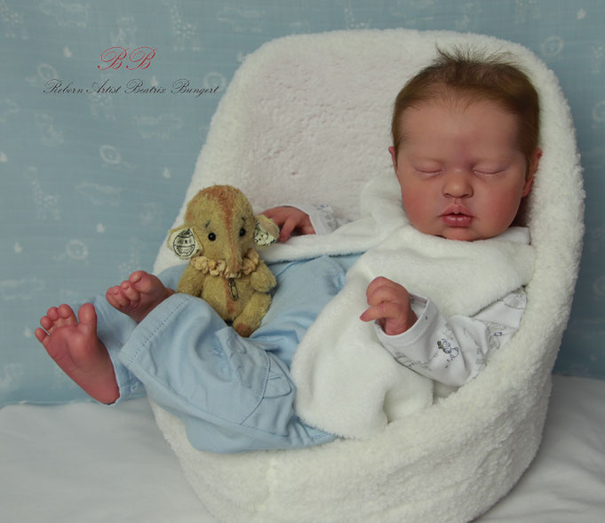 Rebornbaby Teddy