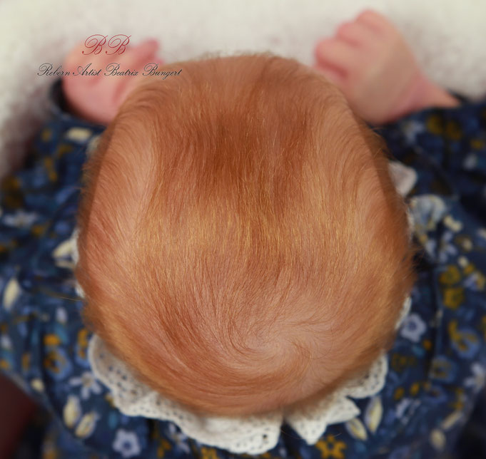 Rebornbaby Echo