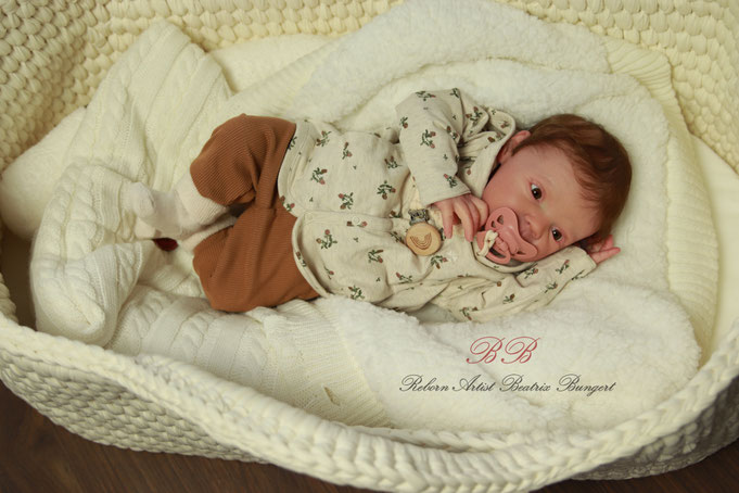 Rebornbaby Mayven