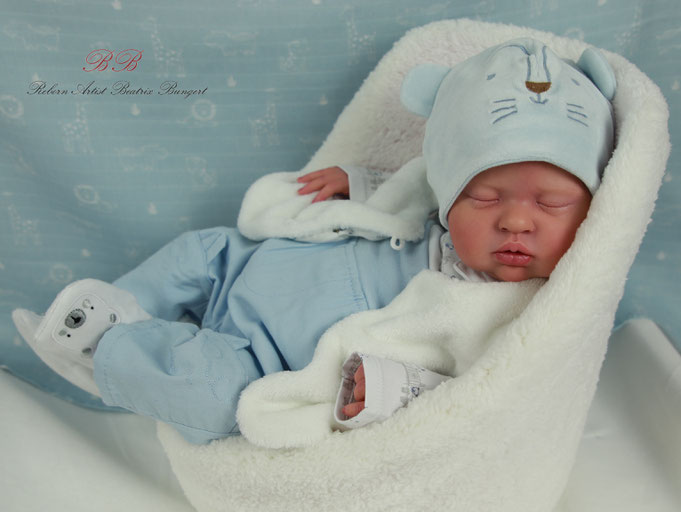 Rebornbaby Teddy