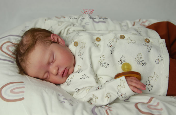 Rebornbaby Teddy