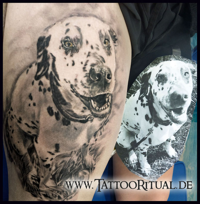 Tattoo Portrait Hund Dalmatiner, TattooRitual Rostock
