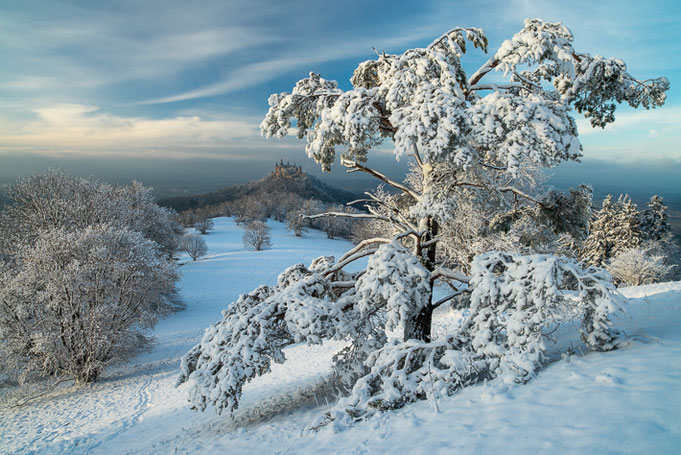 Wintertraum in der Nähe des Zollers.