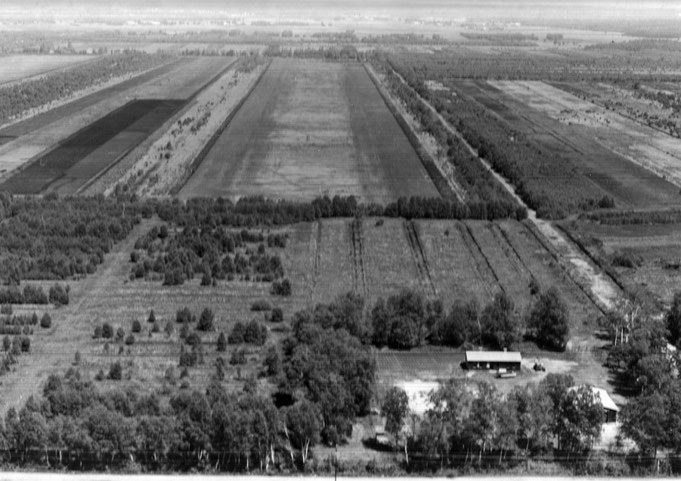 Mathildenhof 1950 (Foto von Jakob Drees)