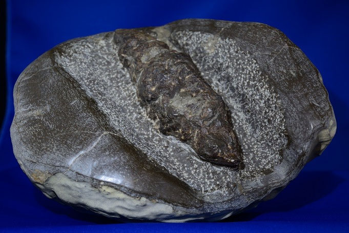 ≪玄能石と言う変な形の岩石≫ - sapporochitan ページ！