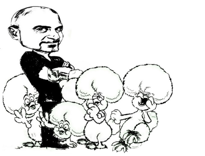 hühner, gupi´s huhn, seidenhühner, cartoon chicken, pittner günter
