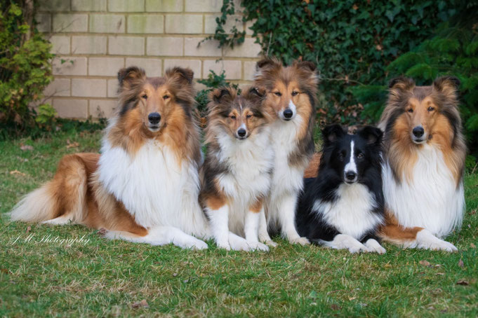 v.l.n.r. Cleo, Angel, Ycandra (Candy), Nelly und Quenija (Luna) 