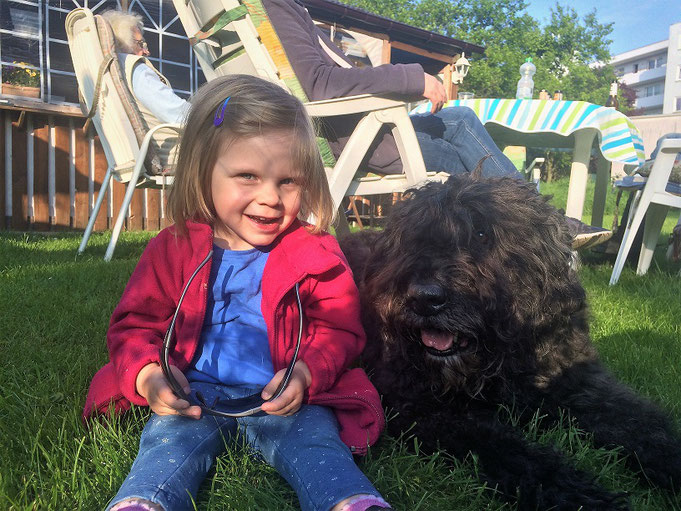 Bouvier des Flandres sind Kinderlieb, auch bei fremden Kindern, sie sind auch gewohnt auf die Kinder aufzupassen, Wir verzichten auf das beissen bei der ZTP, wir möchten keine Kunde die in alles beissen was sich bewegt