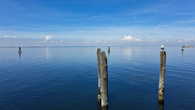 Meer und Möwe