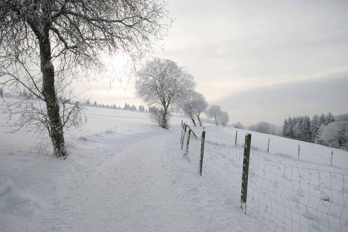 Den Winter im Sauerland geniessen