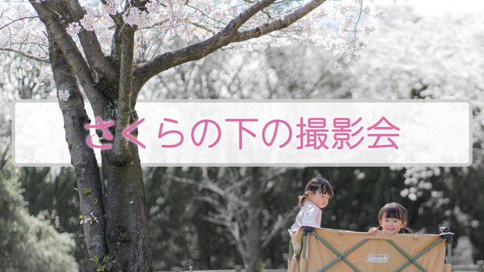 さくらの下の撮影会　岐阜県各務原市　前渡公園　岐阜県美濃加茂市　【f-st.】PhotoStudio
