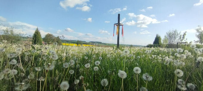 Schamanische Ausbildung 1. Block