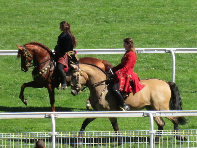 Photo Frédéric Henry