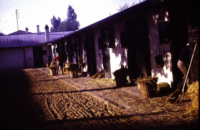 Image de "Popoff" animateur de 1967 à 1976 au Foyer des Apprentis Jockeys de maisons-Laffitte