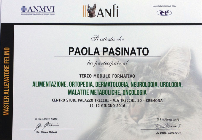 attestato, gatti, sacro di birmania, allevatore, master allevatore, felini